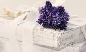 lavender, books, worn